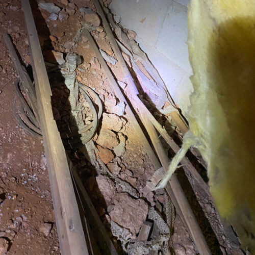 Snake Skin Under Home