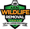 Wellington FL Wildlife Removal 